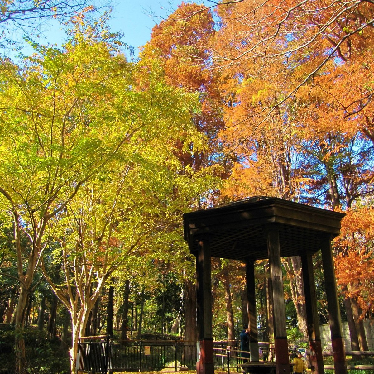 🌳 임시의 숲 공원(린시노모리코엔)